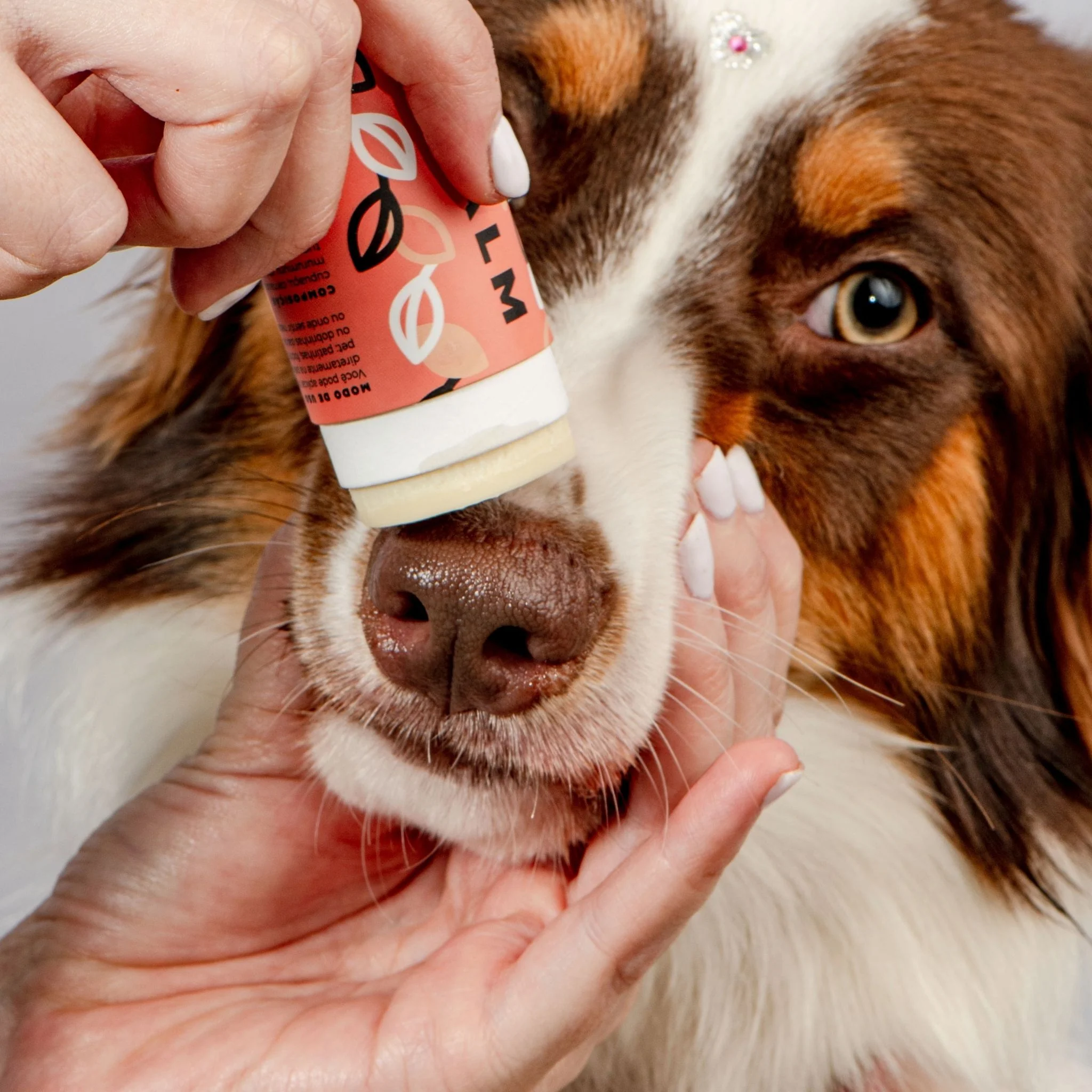 Weasy Balm | Pet Moisturizer  - Image 3