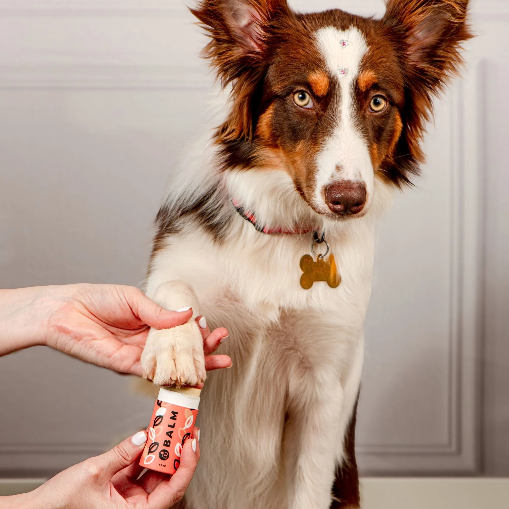 Weasy Balm | Pet Moisturizer  - Image 4