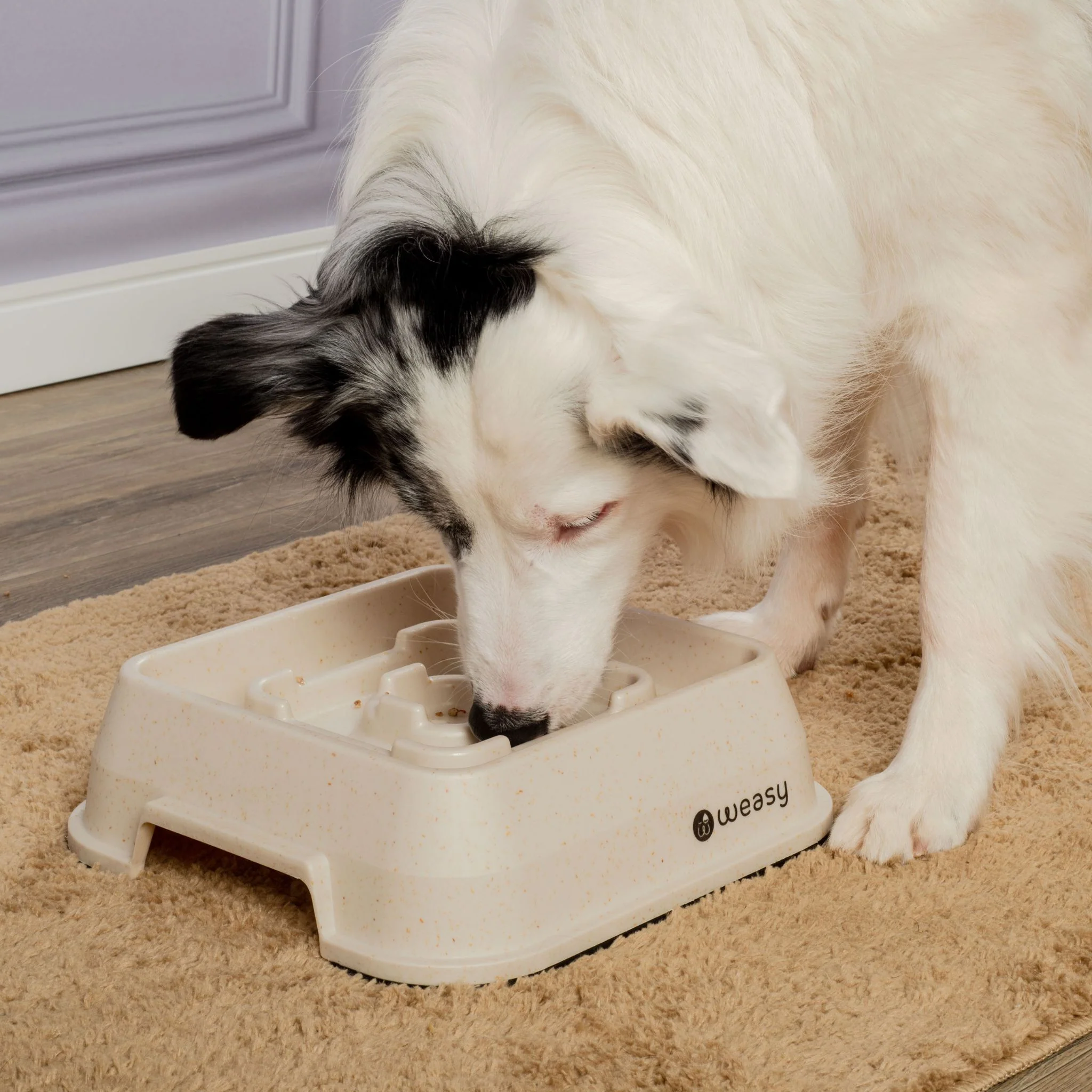 Weasy Bowl - Slow Feeder - Image 4