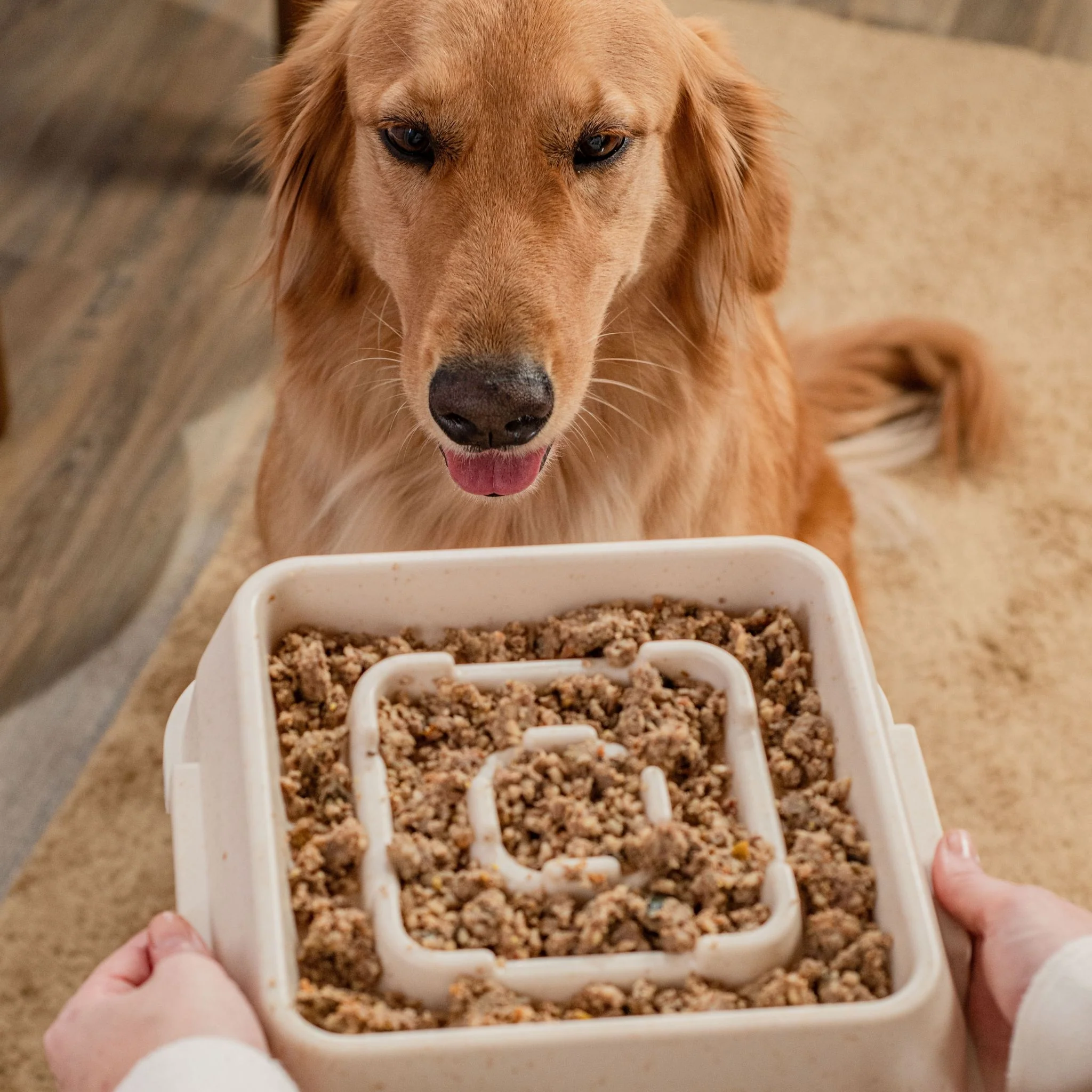 Weasy Bowl - Slow Feeder - Image 6