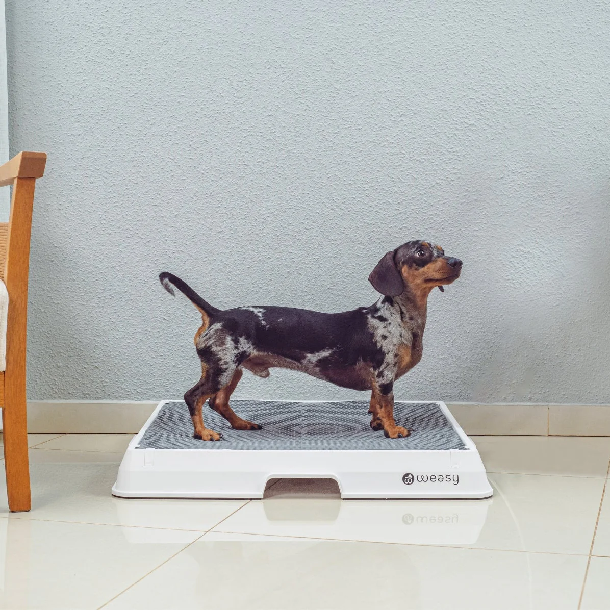 Weasy Smart Dog Potty - Image 10