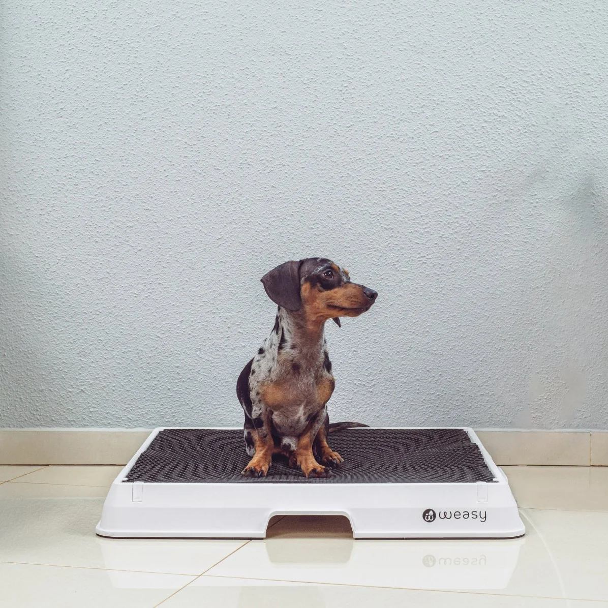 Weasy Smart Dog Potty - Image 11