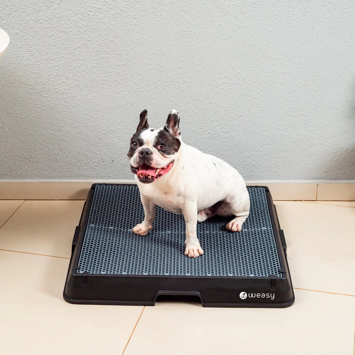 Weasy Smart Dog Potty - Image 12