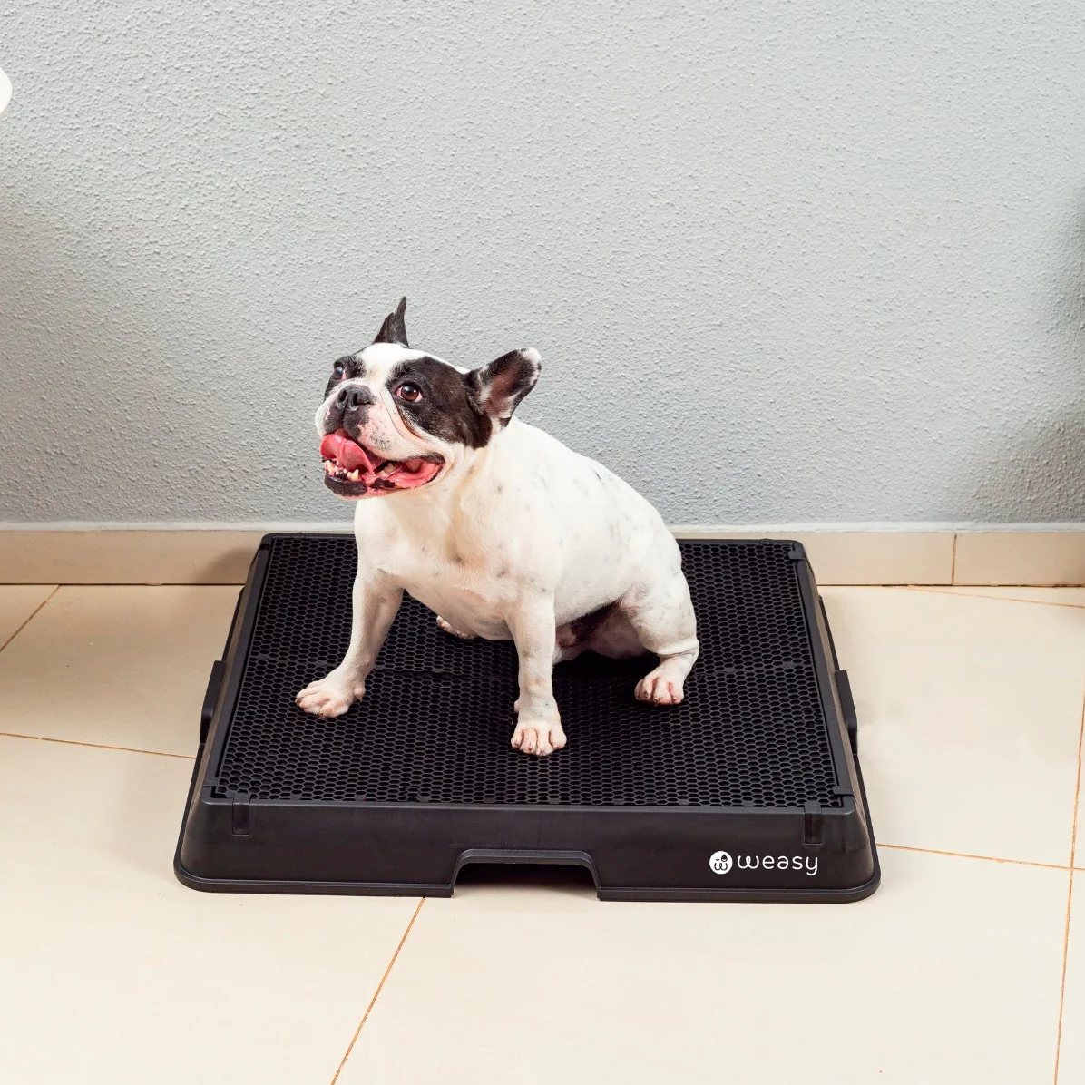 Weasy Smart Dog Potty - Image 13