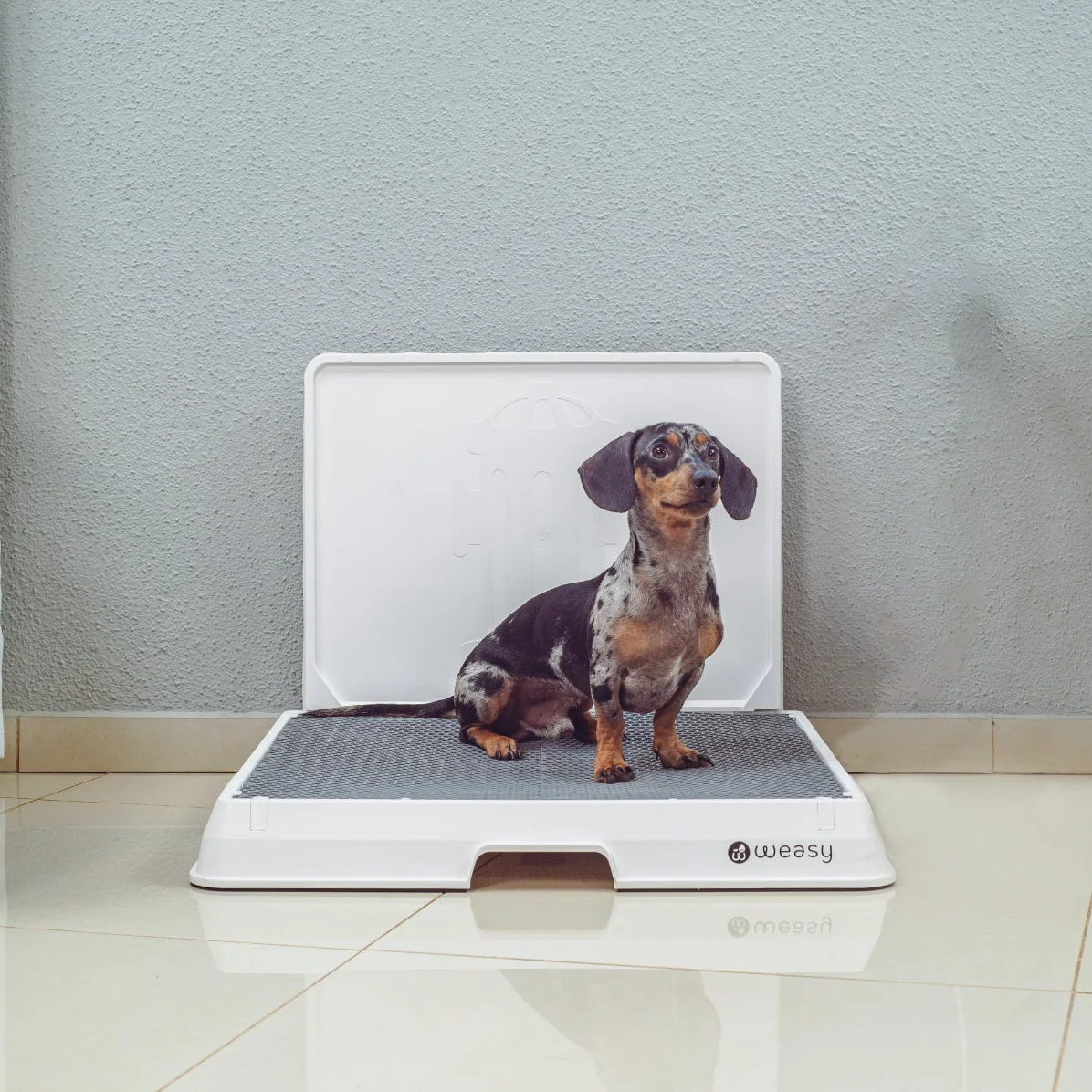 Weasy Smart Dog Potty - Image 14