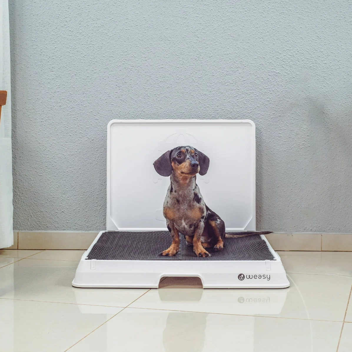Weasy Smart Dog Potty - Image 15