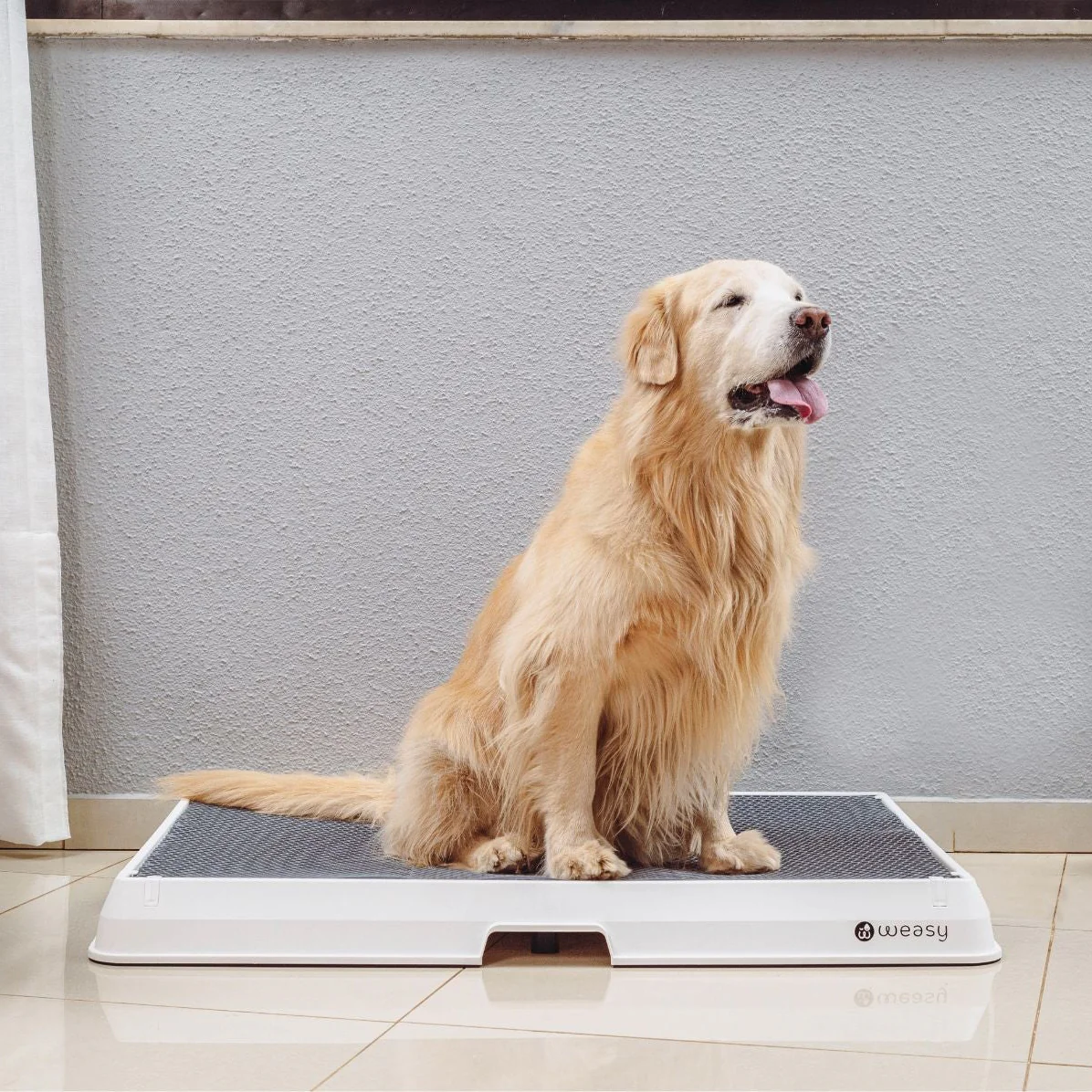 Weasy Smart Dog Potty - Image 18