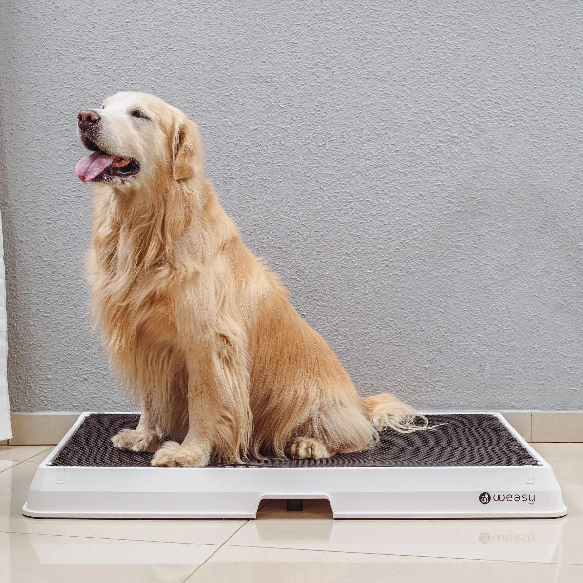 Weasy Smart Dog Potty - Image 19