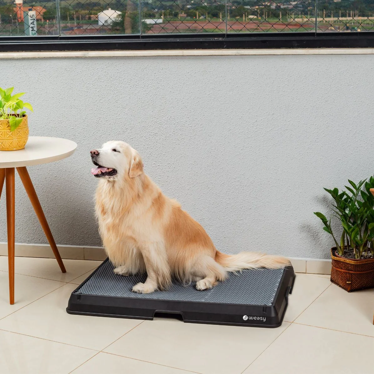 Weasy Smart Dog Potty - Image 20