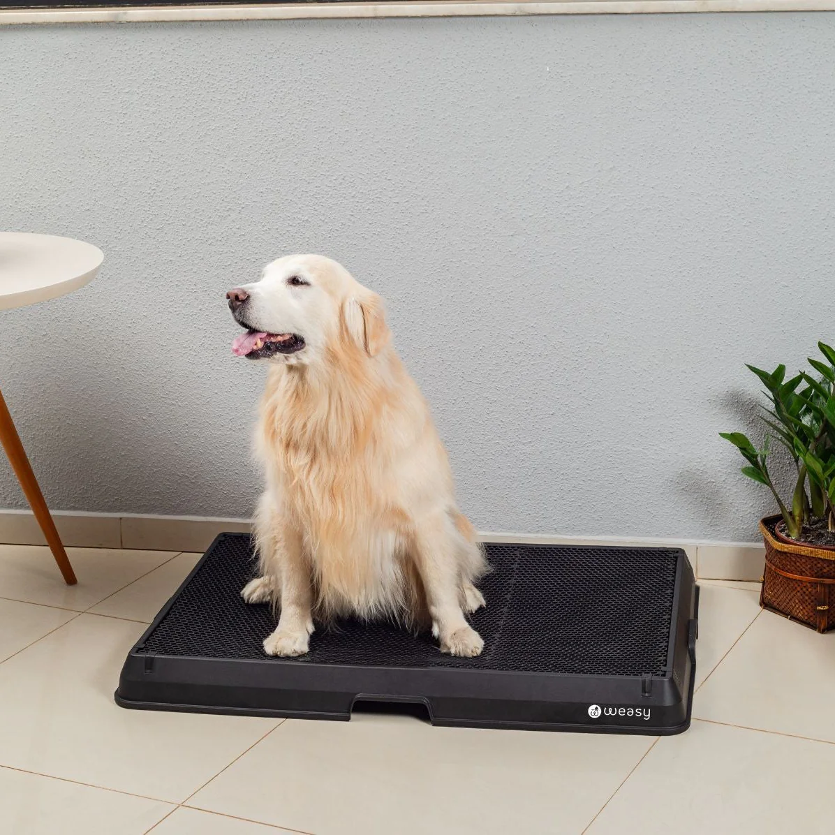 Weasy Smart Dog Potty - Image 21