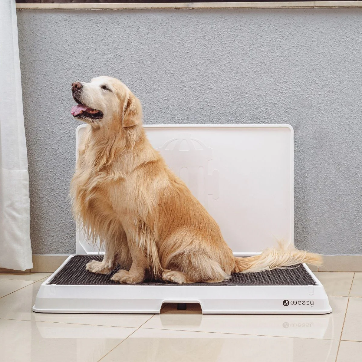 Weasy Smart Dog Potty - Image 22