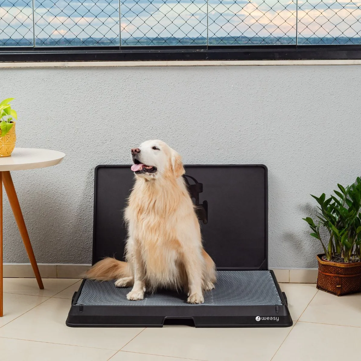 Weasy Smart Dog Potty - Image 23