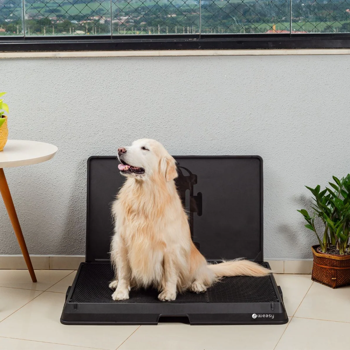 Weasy Smart Dog Potty - Image 24