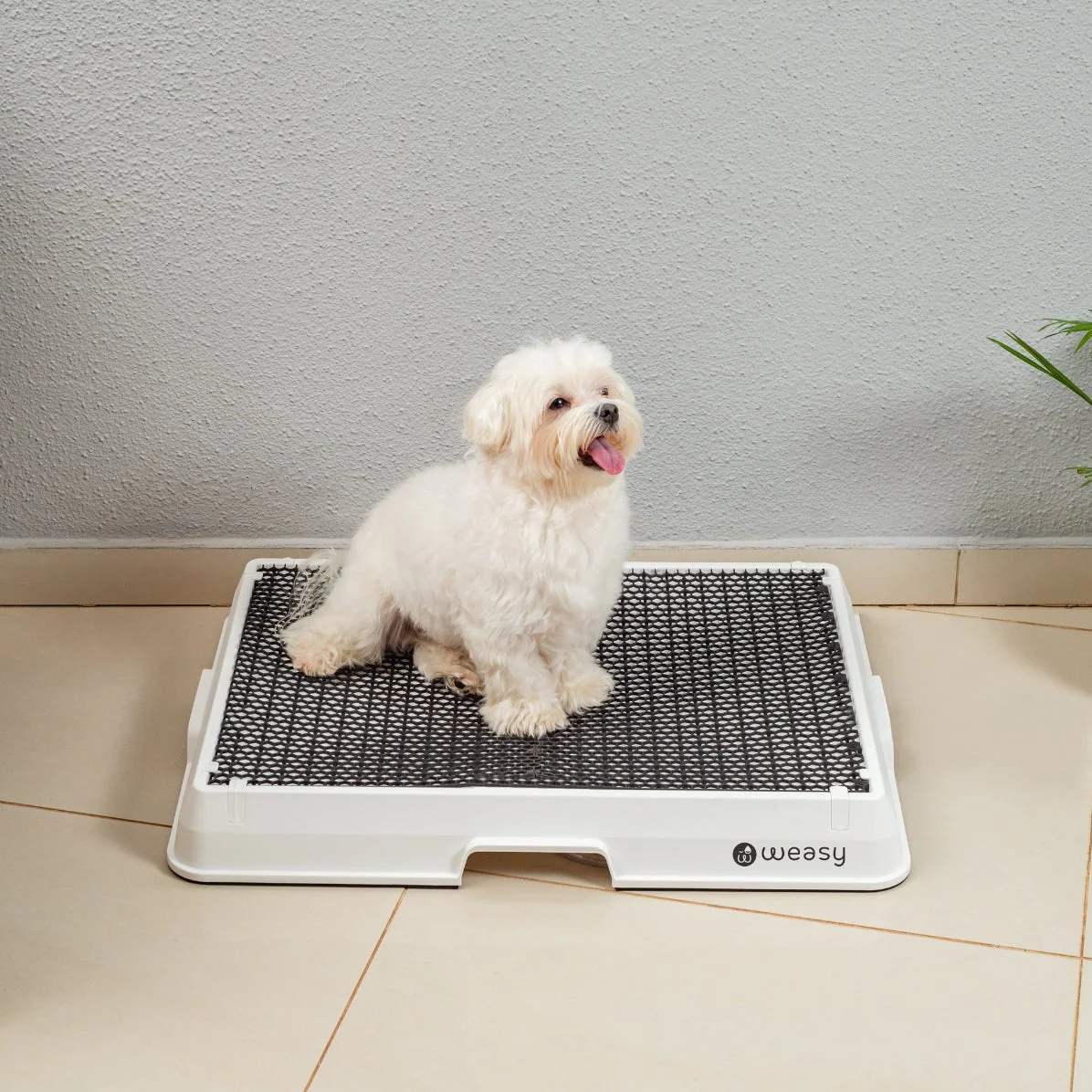 Weasy Smart Dog Potty - Image 3