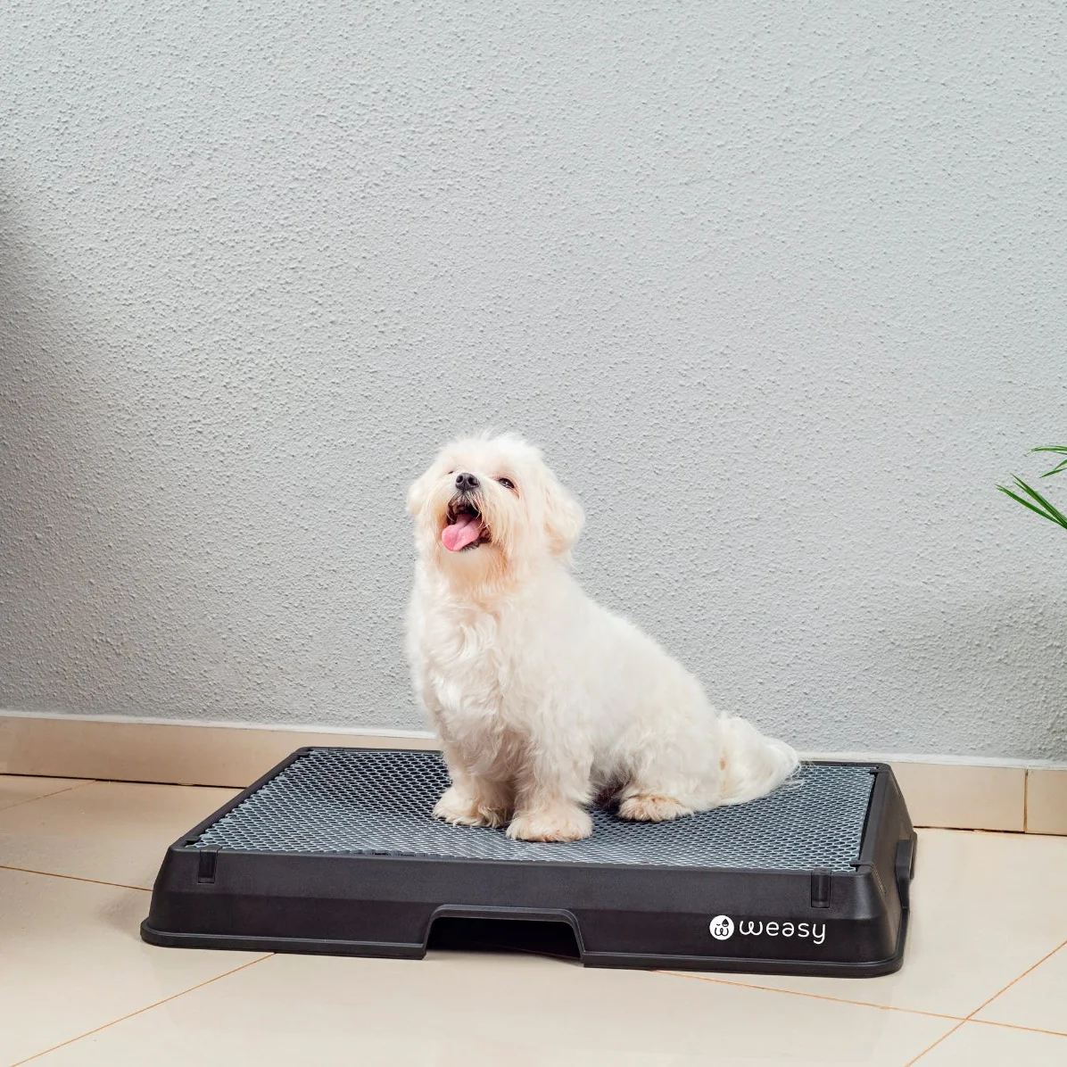 Weasy Smart Dog Potty - Image 4
