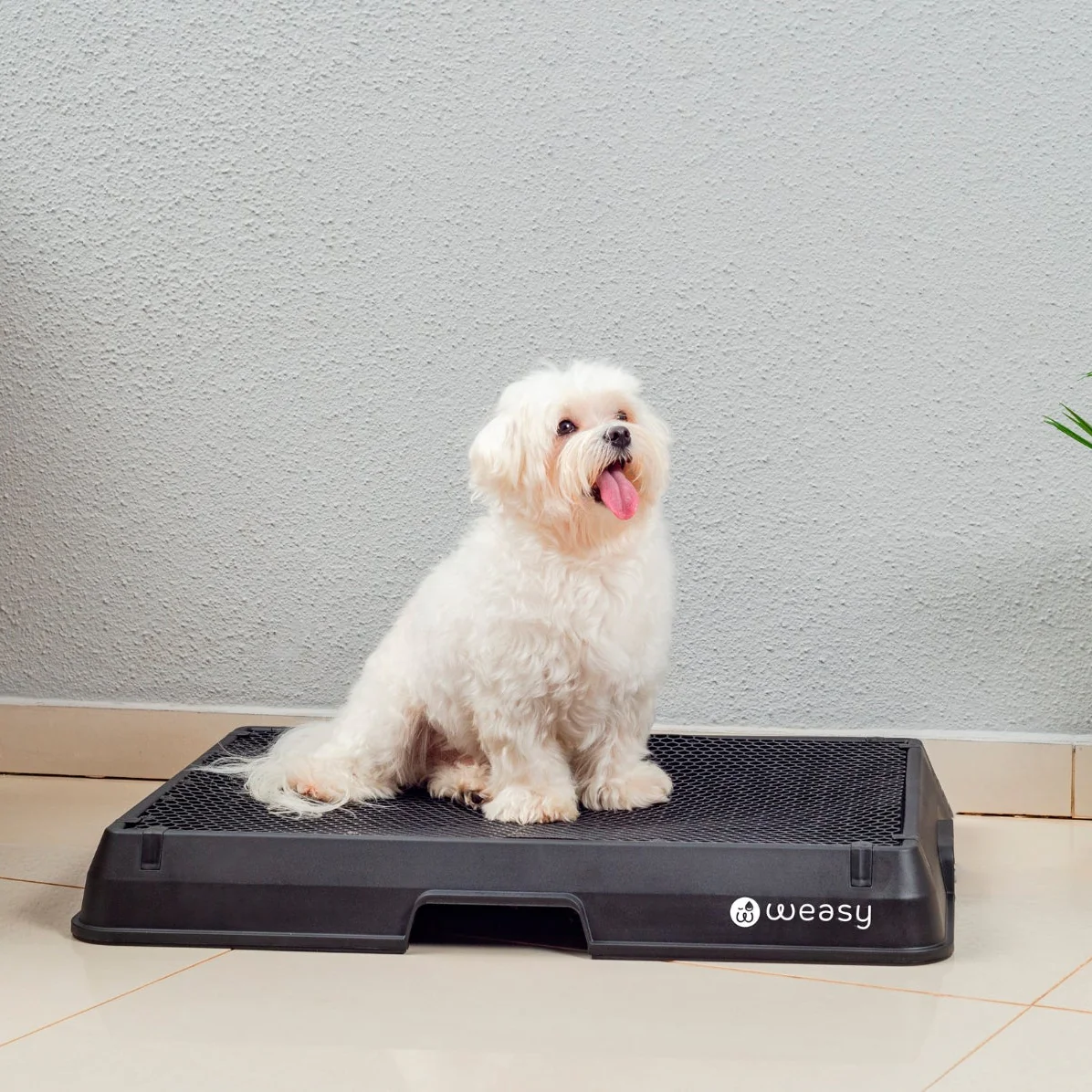 Weasy Smart Dog Potty - Image 5