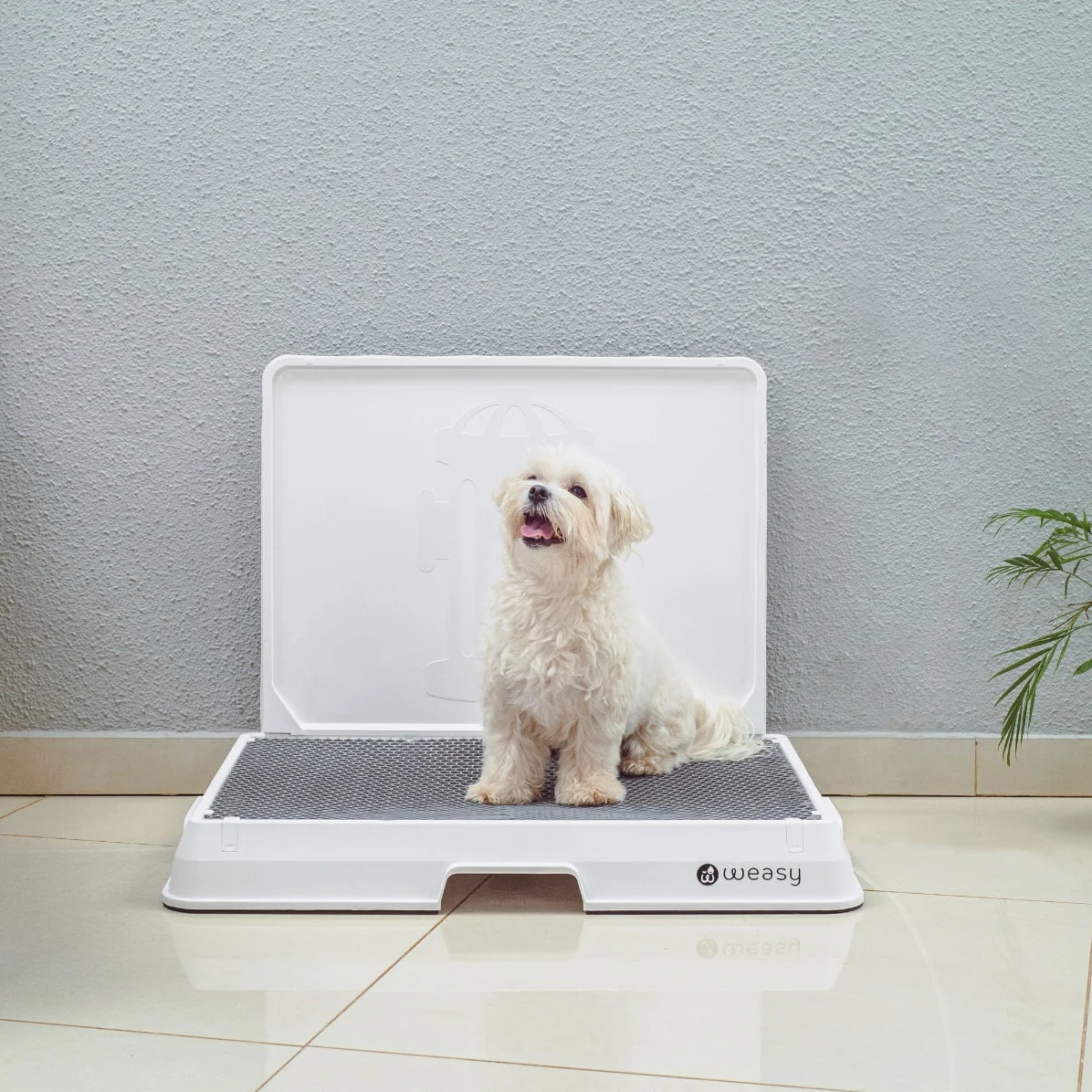 Weasy Smart Dog Potty - Image 6