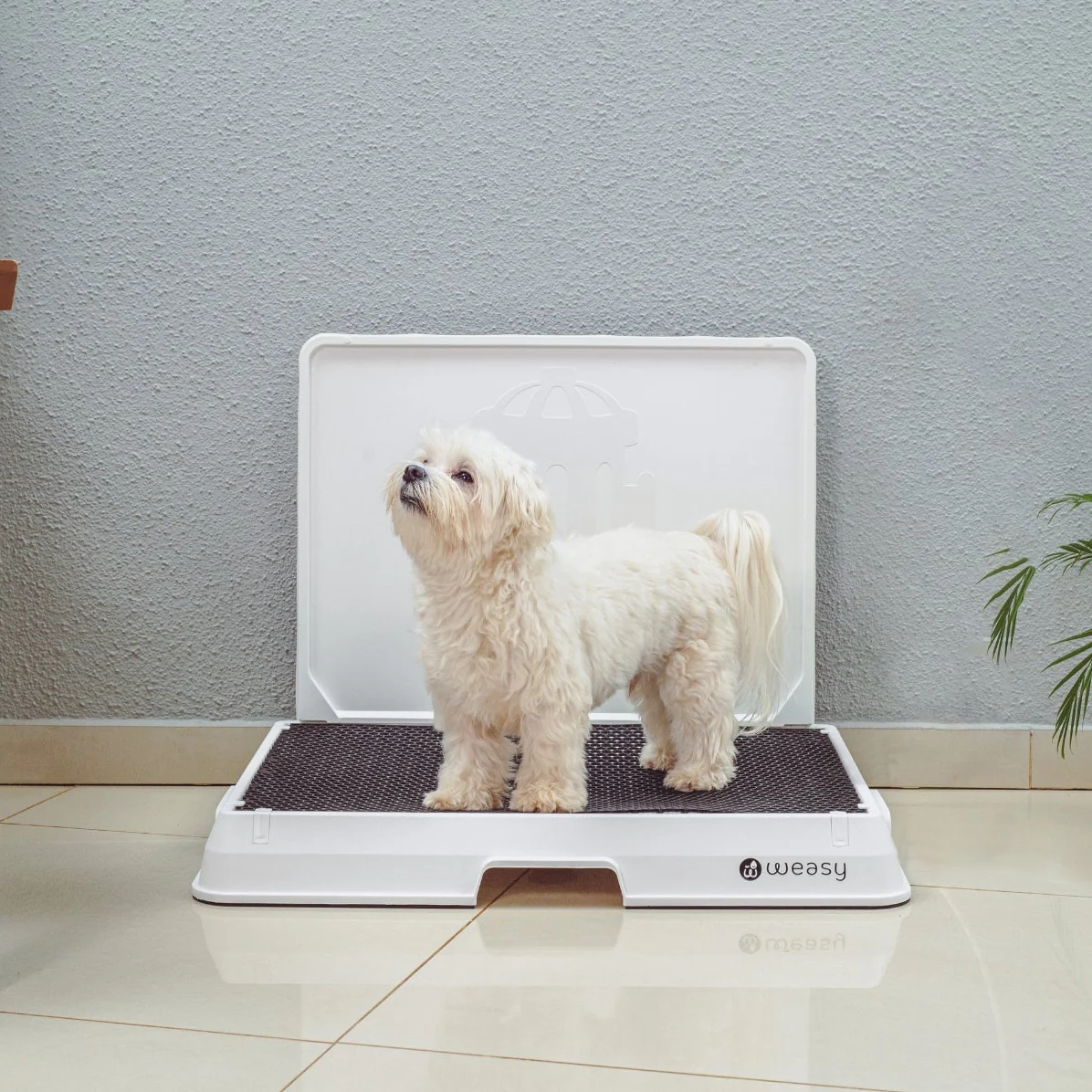 Weasy Smart Dog Potty - Image 7