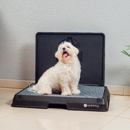 Weasy Smart Dog Potty - Image 8